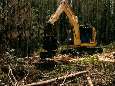 Land Clearing Services Dallas in Dallas